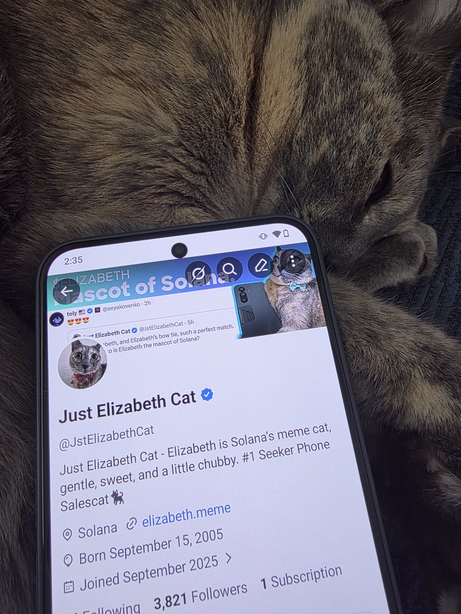JstElizabethCat's tweet photo. Best bio 👑
#1 Seeker Phone Salescat 📱

https://t.co/c9nbQyt7gu https://t.co/xMjeFtTVyQ