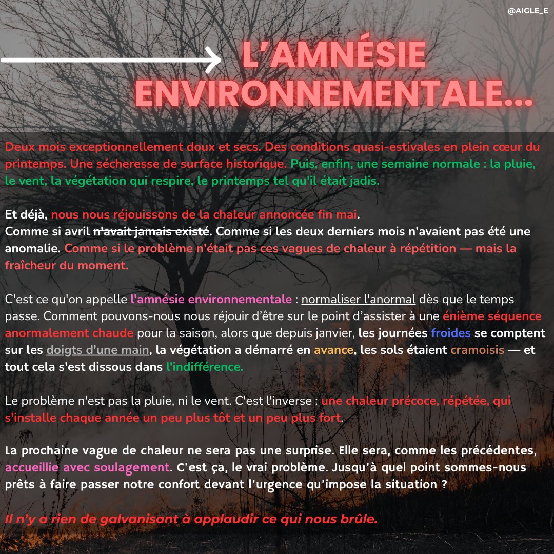 Clement Gaspart tweet media