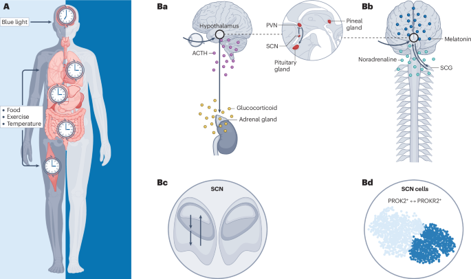 Nature Reviews Genetics tweet media