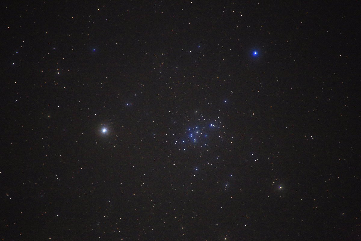 starry_world04's tweet photo. 【М44（プレセペ星団）】

いま見頃の天体✨️
7年前に撮影した写真。
納得してないから
改めて撮影したい。

プレセペ＝飼葉桶🫏
ロバの餌入れに想像したみたい。

英語名では
Beehive＝蜂の巣🐝🍯

僕は、蜂の巣の方がしっくり感じる。 https://t.co/tPGmtia3pw