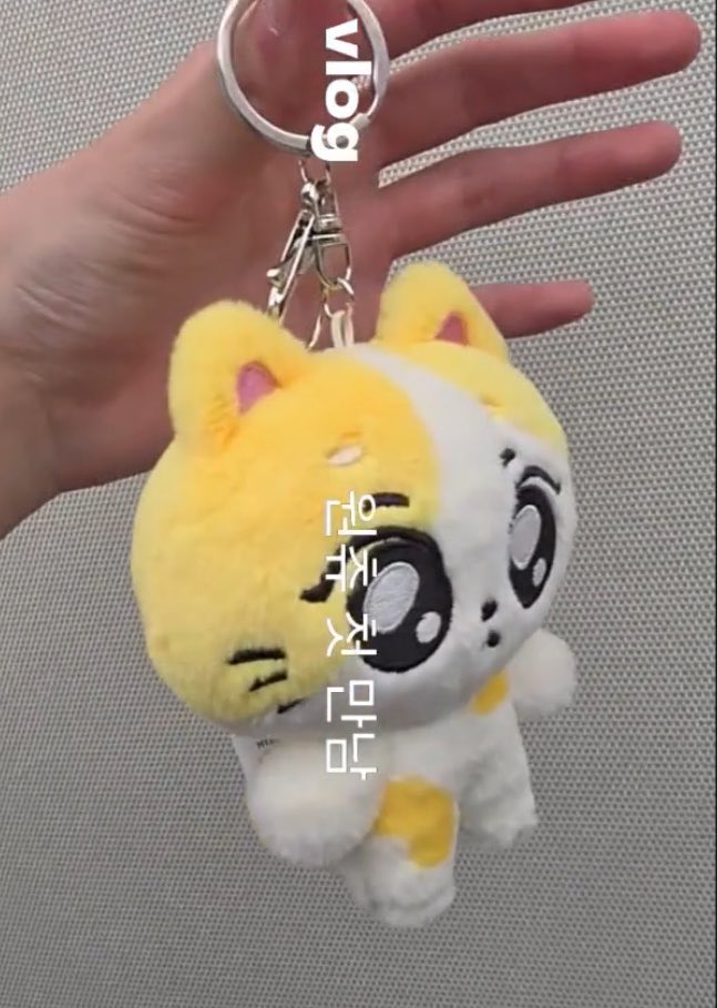 땅땅이(금딸1일차) tweet media