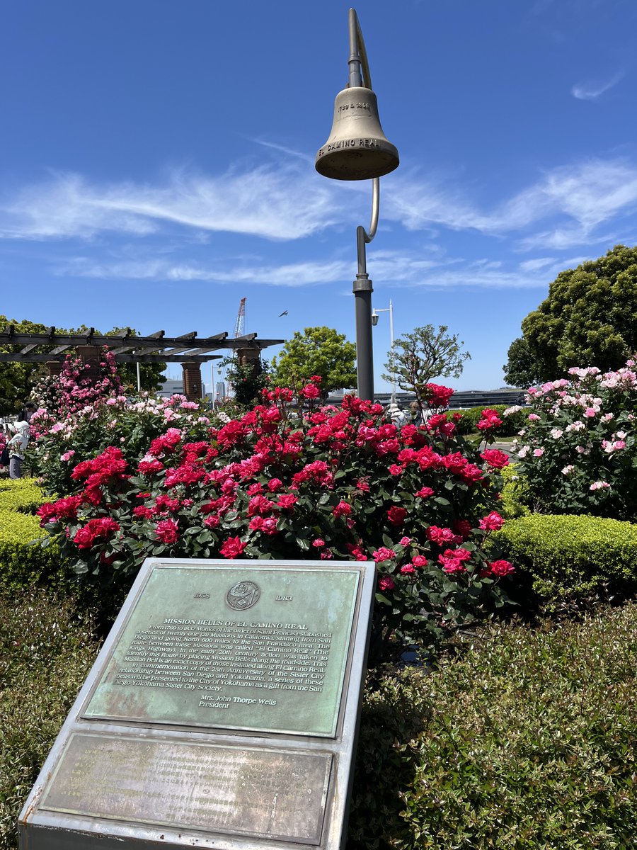 scriptacaelis's tweet photo. 山下公園きれいですよね！ https://t.co/6PqsqYyE8f