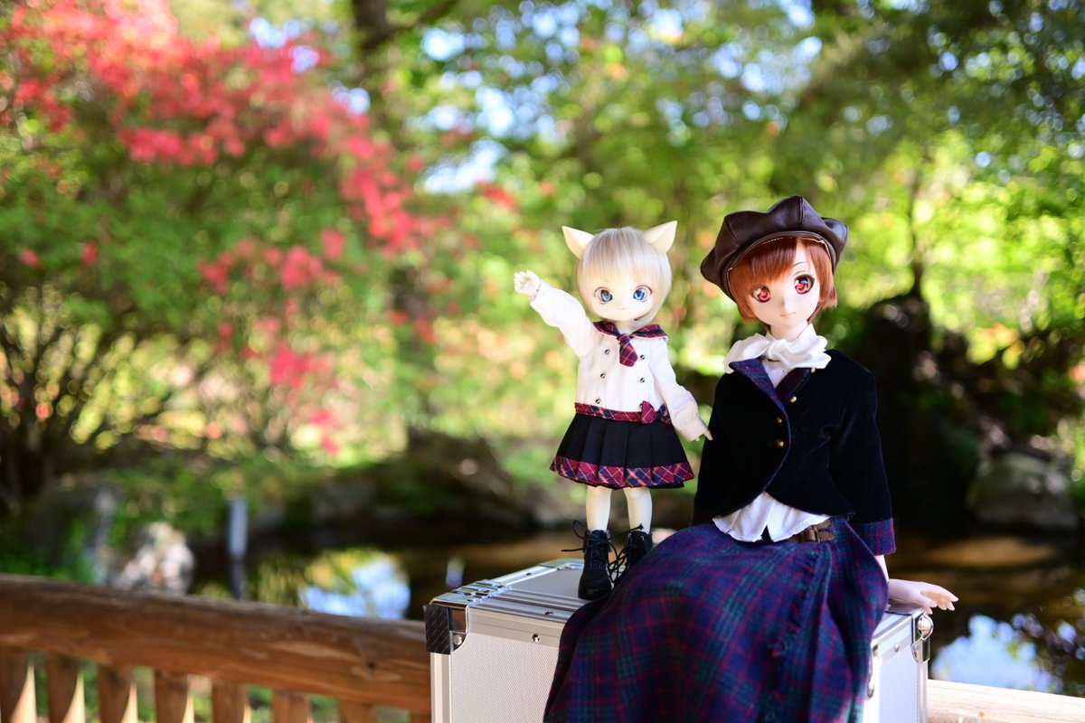 sannomiya1156's tweet photo. とゆーわけで(?)、今日はグンマーのイカホまでヤマツツジの撮影に行ってきました(*´ω`)
#うちのこかわいい
#dollfiedream
#dollipop
#tinklesdolls https://t.co/XKbKuTySmO