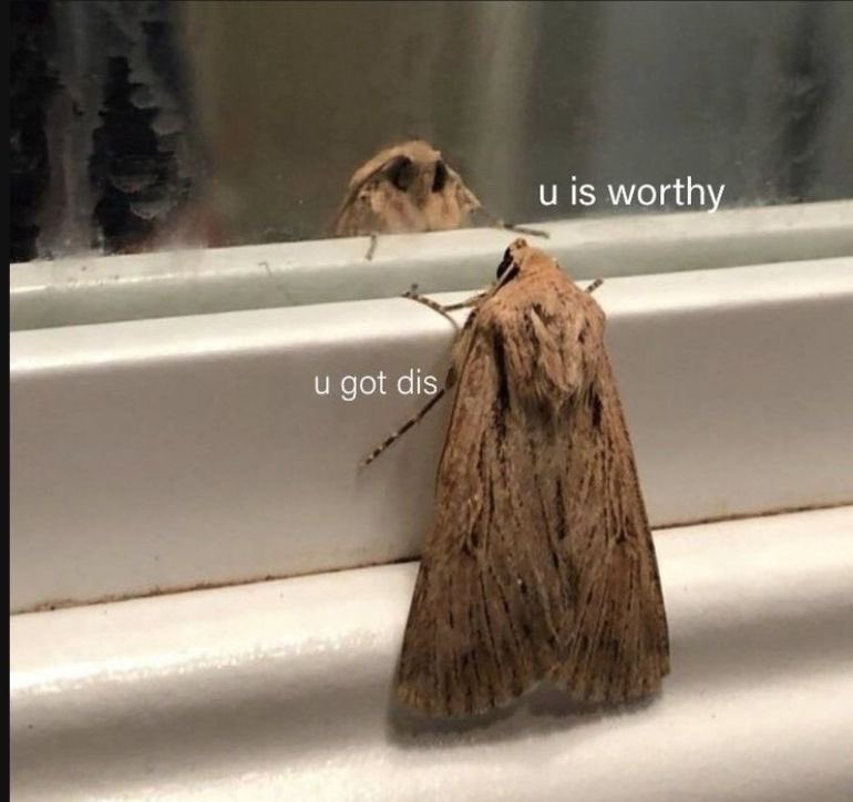 𝚜𝚔𝚘𝚋𝚎𝚎 ☻ tweet media