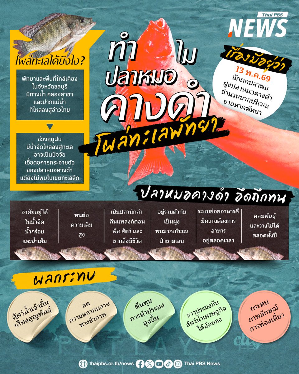 Thai PBS News tweet media