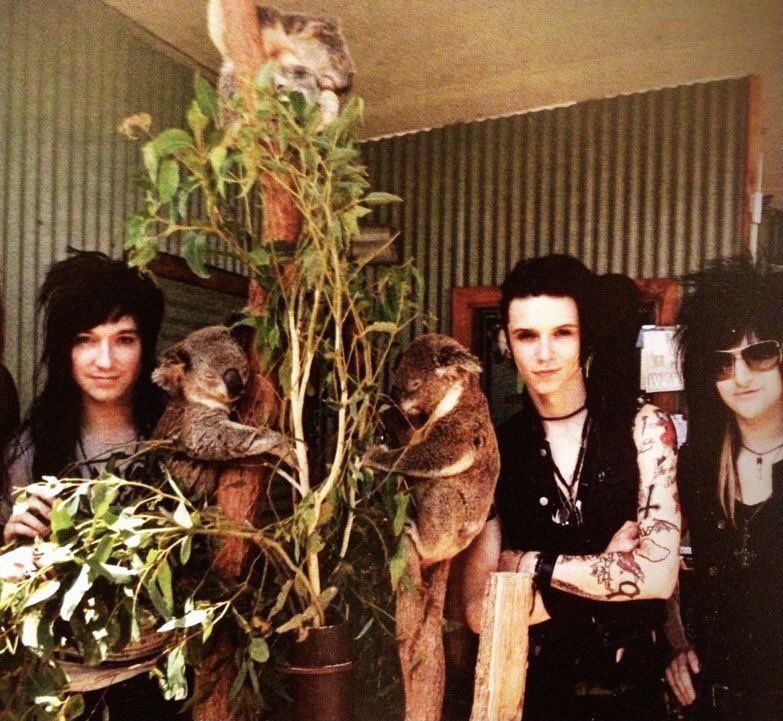black veil brides daily tweet media