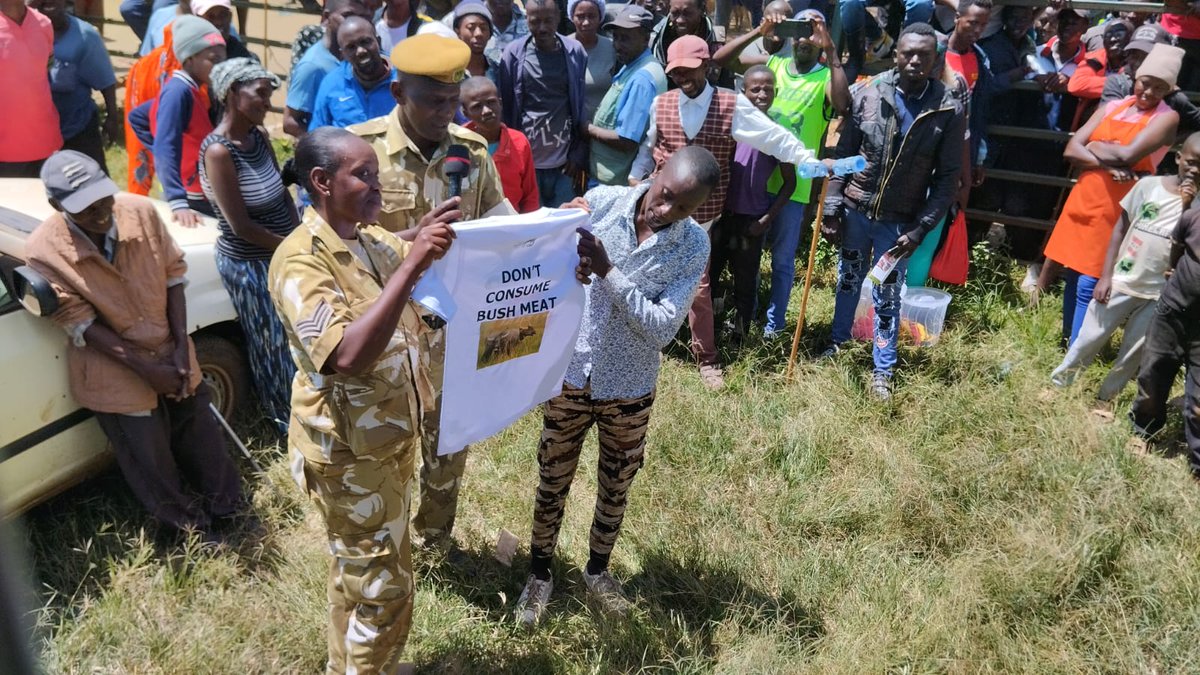 KWSKenya's tweet photo. ๐๐๐ ๐๐จ๐ฅ๐ฅ๐ฌ ๐๐ฎ๐ญ #๐๐๐ฒ๐๐จ๐๐จ๐๐ฎ๐ฌ๐ก๐๐๐๐ญ ๐๐๐ฆ๐ฉ๐๐ข๐ ๐ง ๐๐ฐ๐๐ซ๐๐ง๐๐ฌ๐ฌ ๐๐จ๐๐๐ฌ๐ก๐จ๐ฐ ๐๐๐ซ๐จ๐ฌ๐ฌ ๐๐๐ฃ๐ข๐๐๐จ ๐๐ง๐ ๐๐ฎ๐ซ๐ซ๐จ๐ฎ๐ง๐๐ข๐ง๐ ๐๐๐ ๐ข๐จ๐ง๐ฌ
The #SayNoToBushMeat awareness roadshow has officially been flagged off in Loitoktok Sub-County by the Deputy County Commissioner, Geoffrey Kiprotich Tanui. Joining him were the Senior Assistant Director, Conservation Education and Extension, Samuel Tokore, and the Assistant Director, Amboseli National Park, Paul Wambi.
The campaign aims to sensitize communities on the dangers of bushmeat consumption and trade by addressing illegal wildlife trafficking, public health risks, and zoonotic diseases, while promoting healthy lifestyles and sustainable conservation.
The Kajiado County roadshow has commenced in Loitoktok and Kimana markets and will continue through Rombo, Ilasit, Simba Cement, Mashuru, Duka Moja, and Sultan Hamud.
Kenya Wildlife Service calls upon members of the public to play an active role in protecting our wildlife heritage by rejecting bushmeat and reporting illegal wildlife activities. Together, we can safeguard wildlife for present and future generations.
Karibu, Tutunze Pamoja!
#SayNoToBushMeat #EndIllegalWildlifeTrade #ProtectWildlifeKE