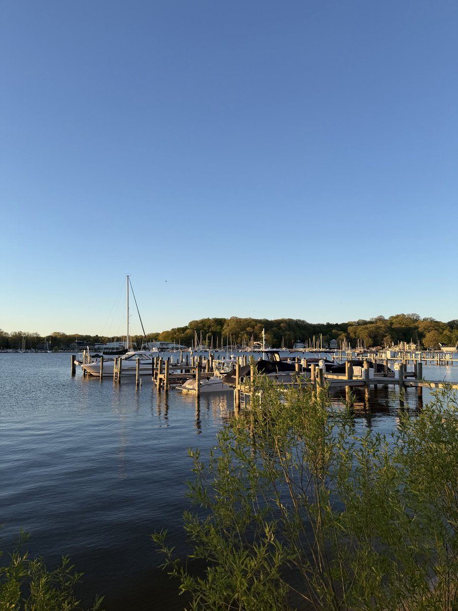 elliothallett's tweet photo. Morning lakeshore walk https://t.co/iM0B1ANr9U