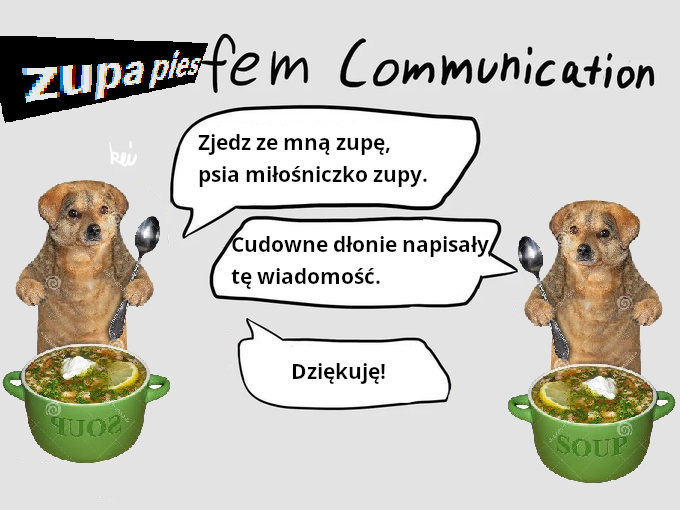 zupa pies fotografie tweet media