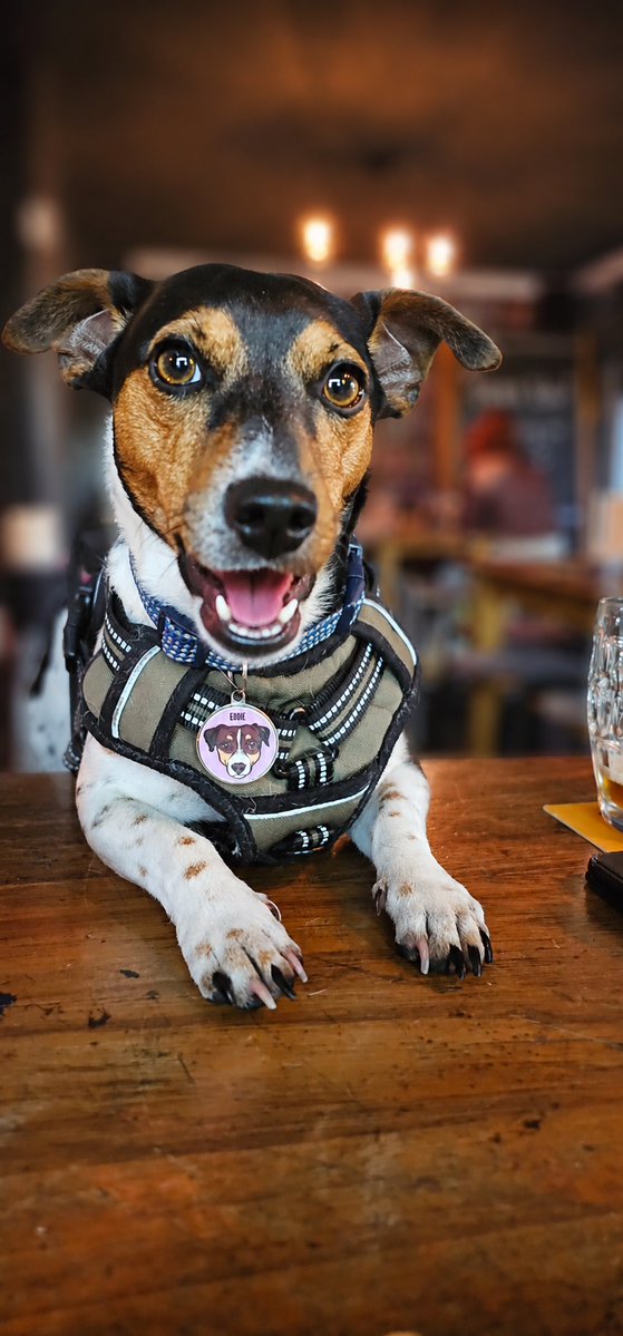 the beer school tweet media