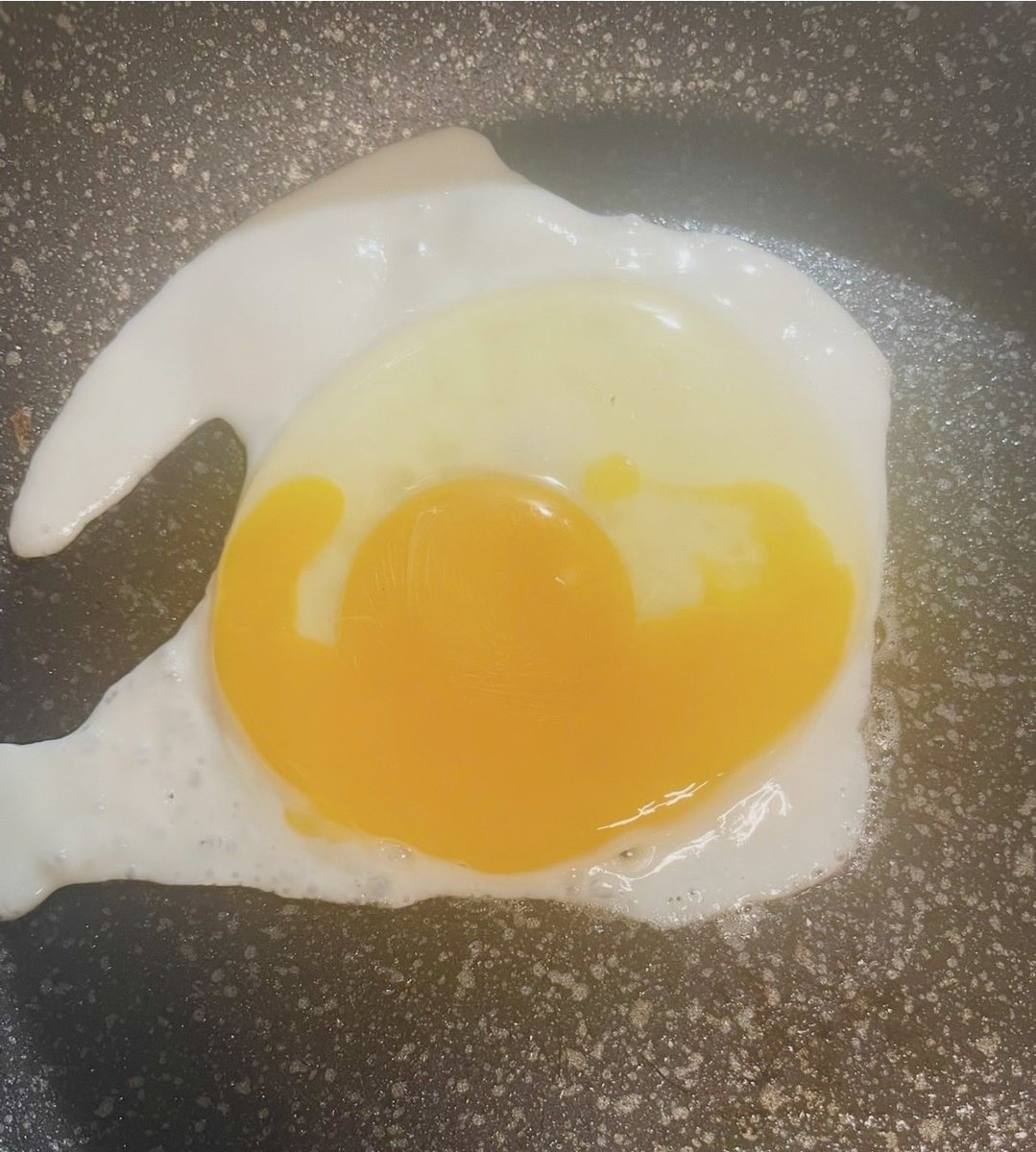BernieGreen4's tweet photo. I can’t decide whether my egg is made up he’s out of his shell or if he’s offering me out https://t.co/UP5sOmqFxk