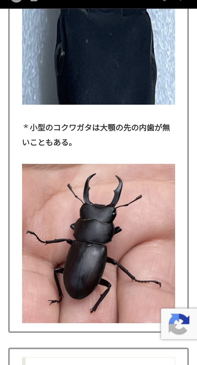 闇の通 tweet media