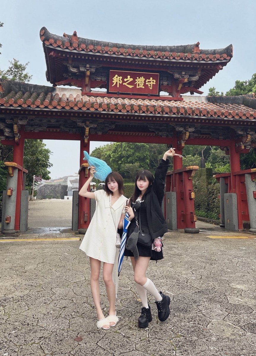 平澤 芽衣 【THE ORCHESTRA TOKYO】 (@TOT_meicha) / Posts / X