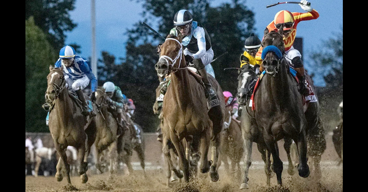 Canadian Thoroughbred tweet media