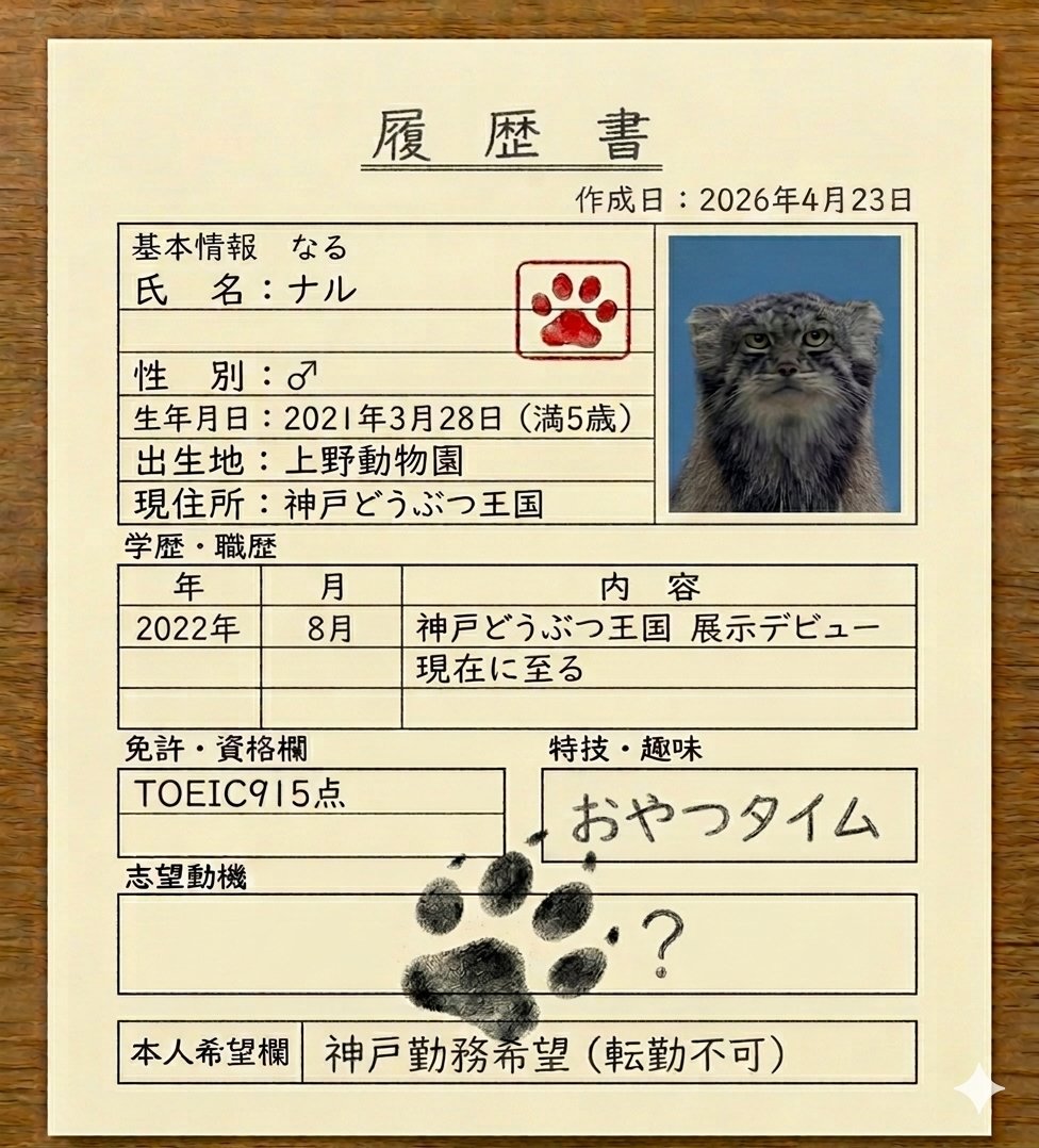 マヌラーの山下 tweet media