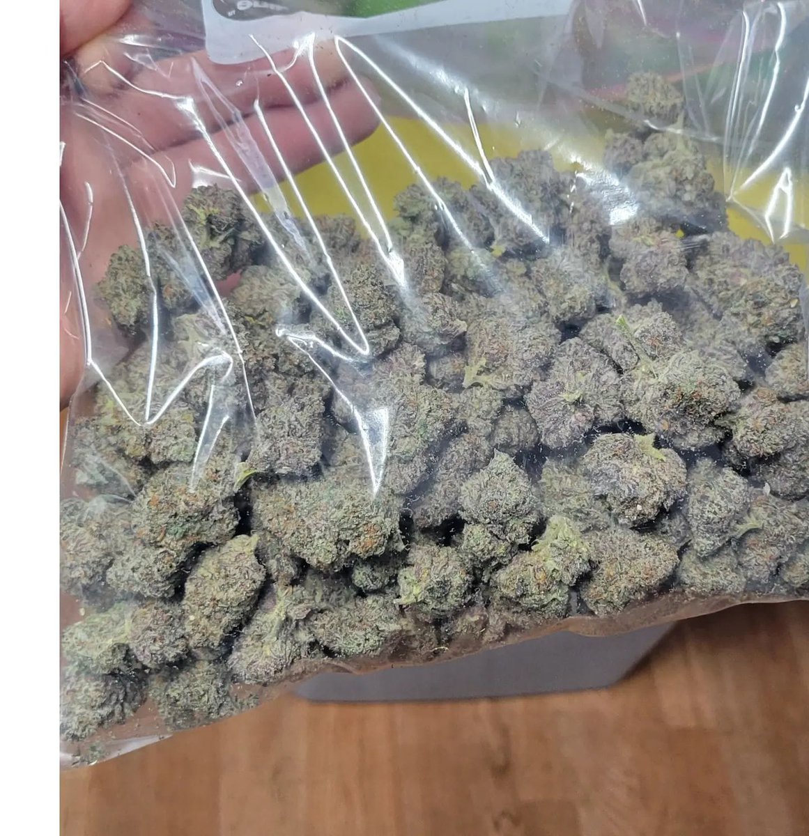SandraHaag94657's tweet photo. @How many grams is this and how much would you pay for it?? https://t.co/cmehXASRWn