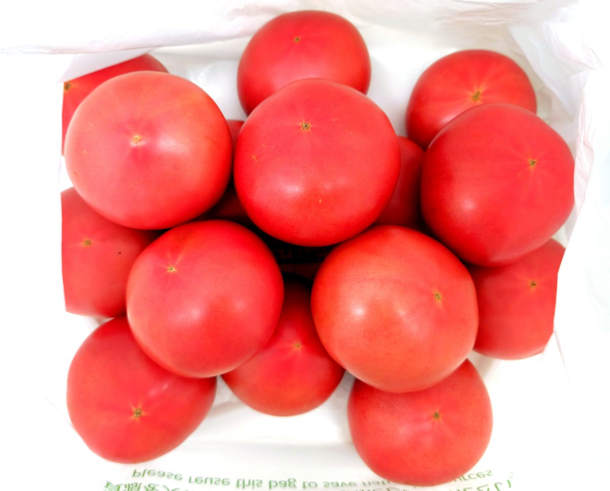 トマト1個 ˎ⸜【 68円 】/⸝ˏ!! 今までで 一番安い🍅 15個 買って トマト1個 ˎ⸜【 68円 】/⸝ˏ!! 今までで 一番安い🍅 15個 買って