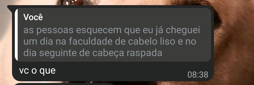 binny 🏺 au minchan tweet media