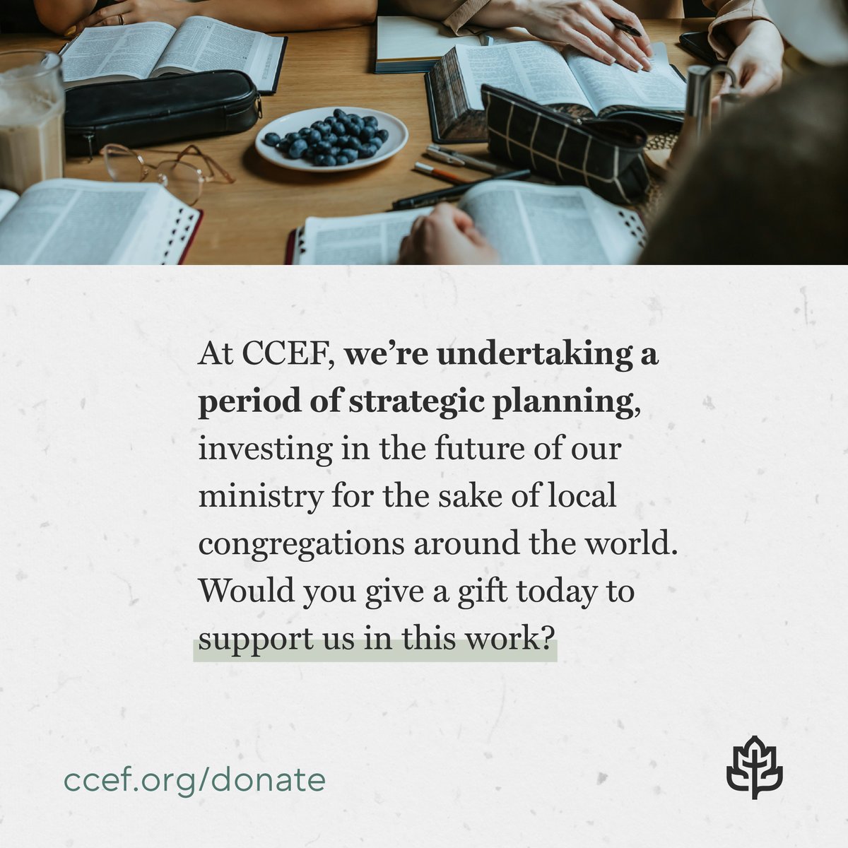CCEF tweet media