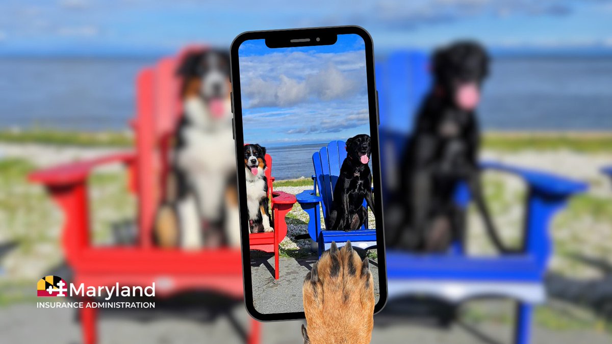 Maryland Insurance tweet media