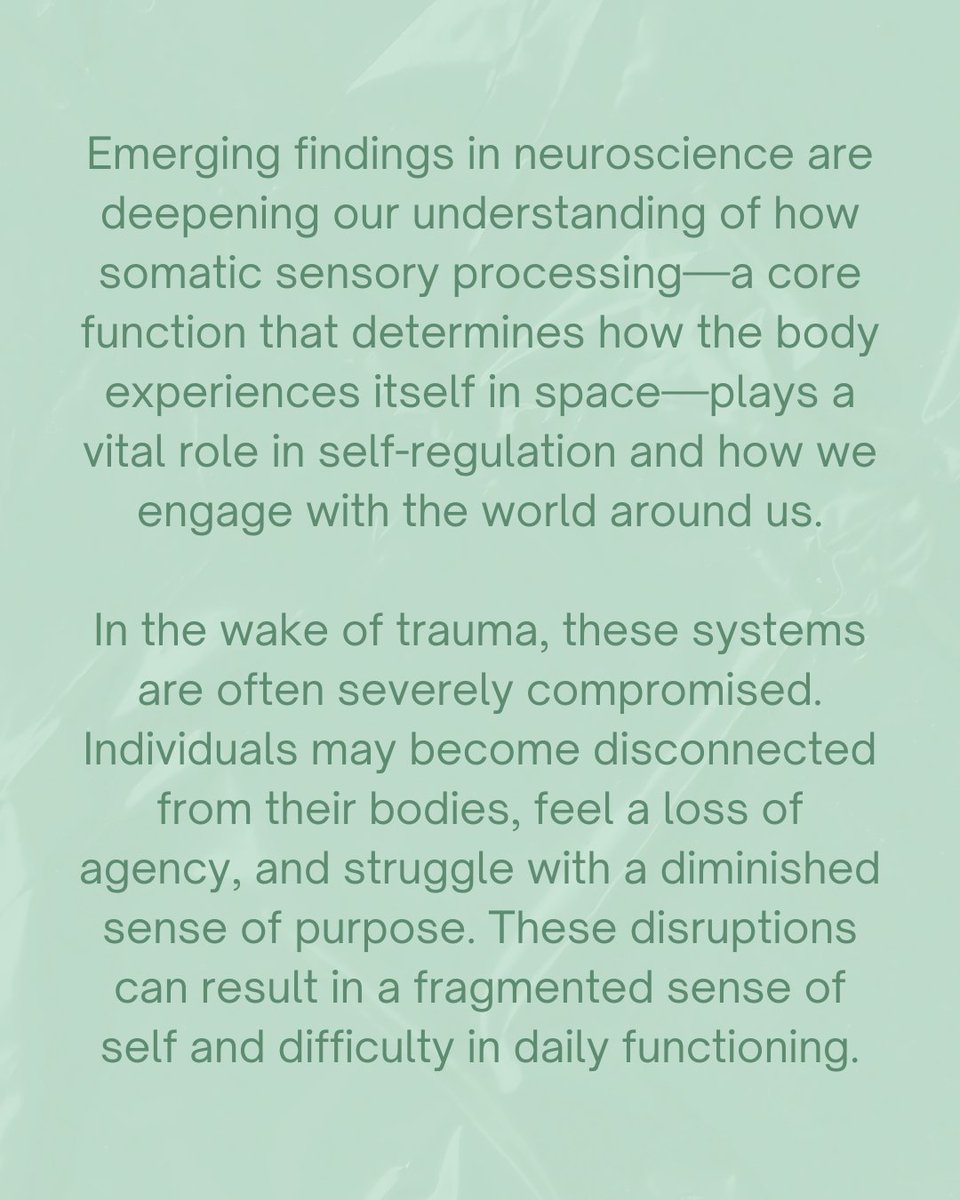 CheetahHouseOrg's tweet photo. When trauma compromises somatic sensory processing, the body struggles to regulate &amp; engage with the world. 

Next week, Dr. Ruth Lanius explores the vital link between mind, brain, &amp; body. Learn neuroscience-informed strategies to restore a cohesive, embodied self.

LinkinBio! https://t.co/92Xqu4lK2G