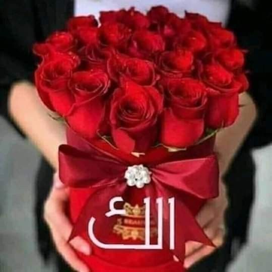 ابو صطيف tweet media