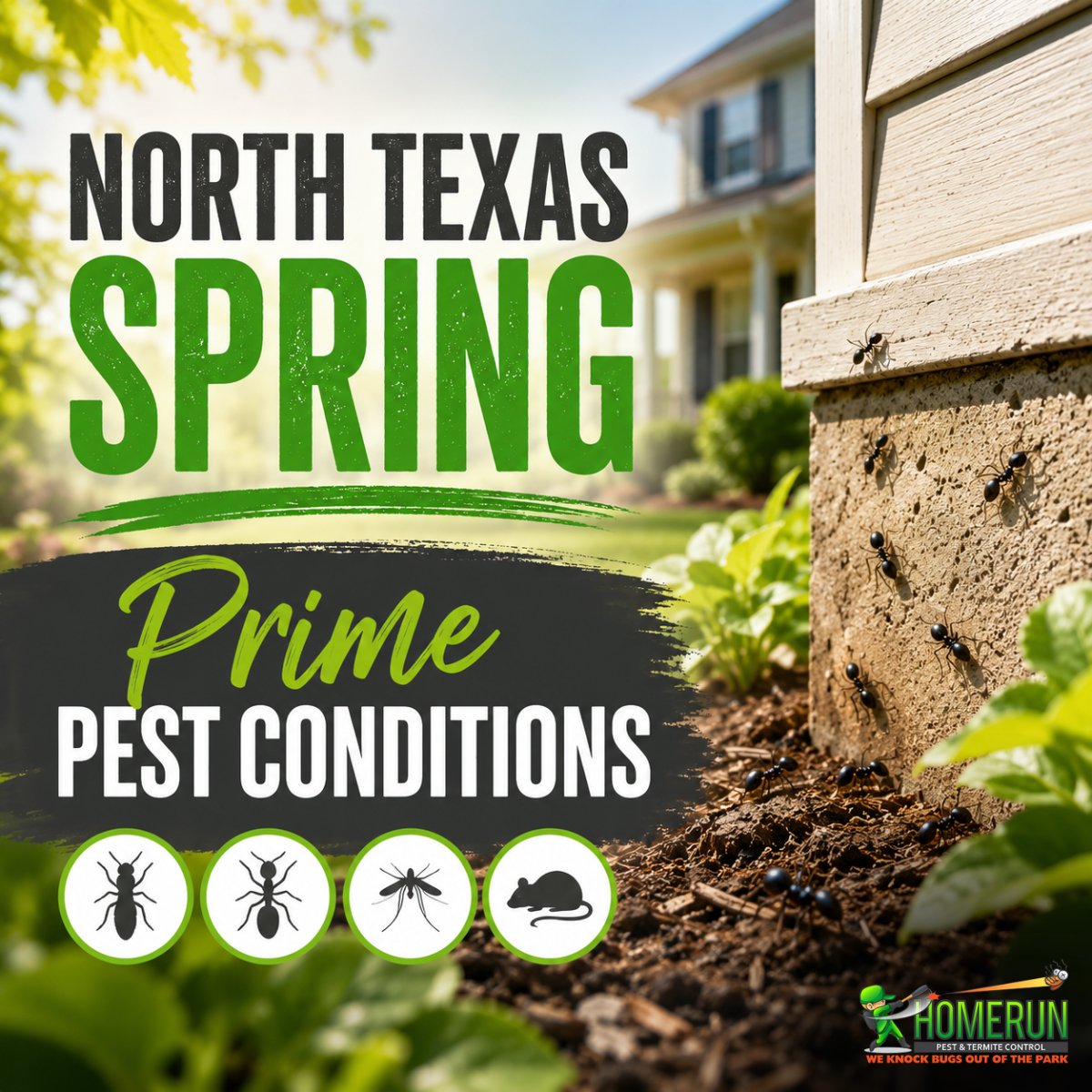 HomeRunPest's tweet photo. 🚨 Seeing more bugs around your home this spring? You’re not imagining it.

Learn what’s causing the surge — and how to protect your home before infestations grow.

📖 Check out our latest guide: https://t.co/diRij0rjoy https://t.co/bqKZ6S1682