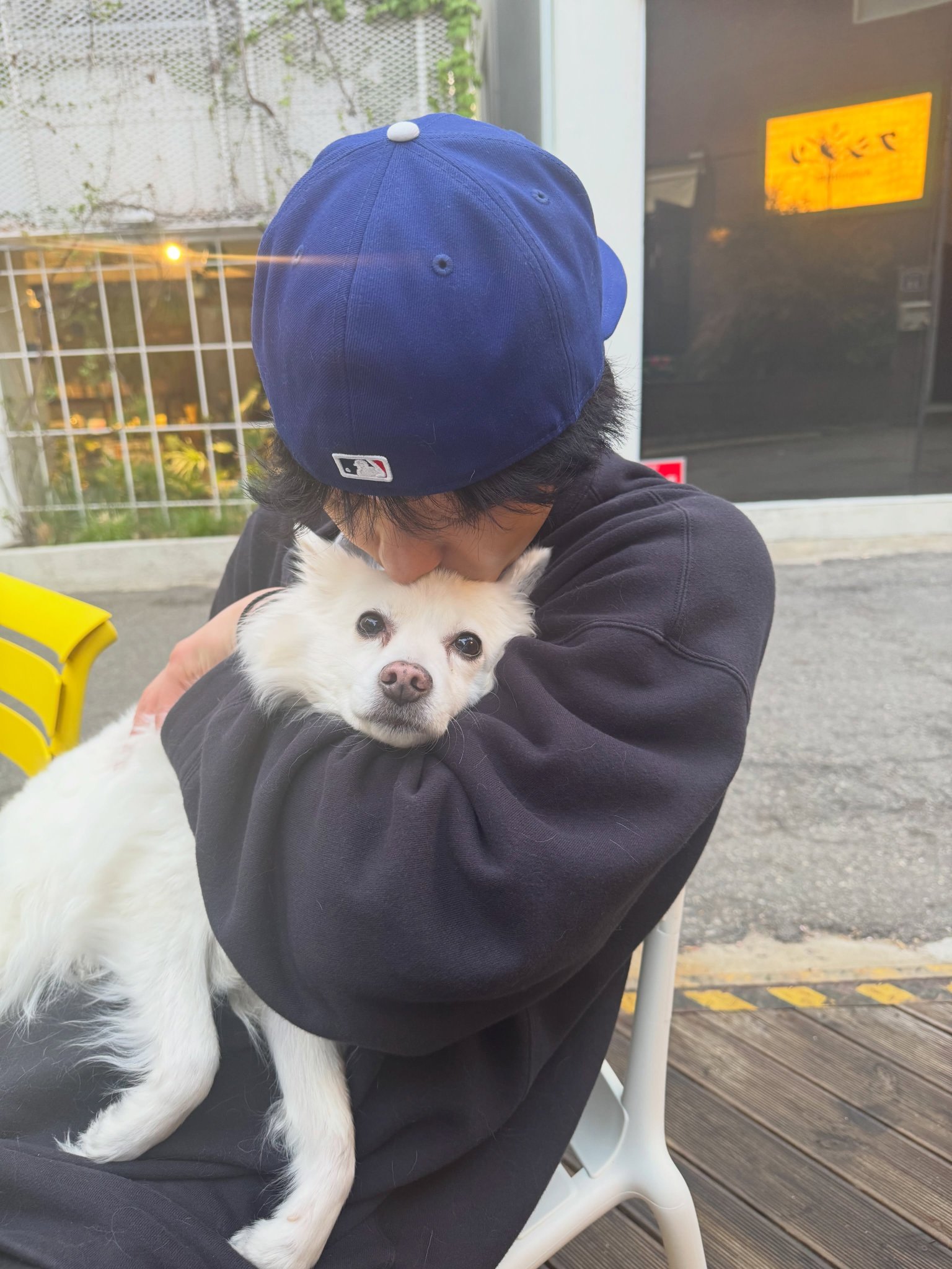 アン・ヒョソプ　犬　