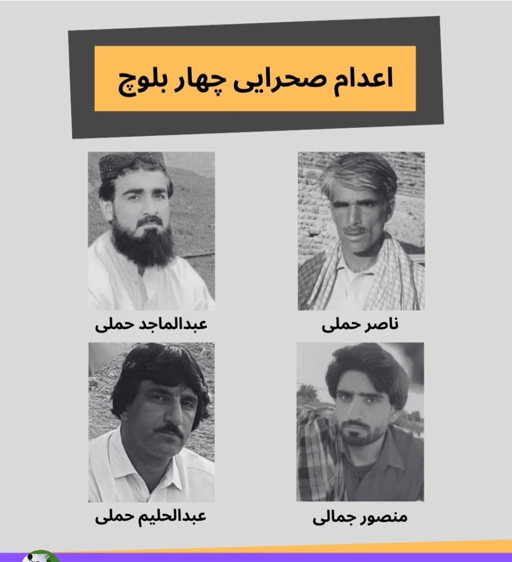 Sam-reza . Jafarian tweet media