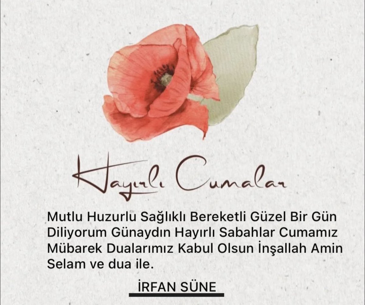 İRFAN SÜNE tweet media