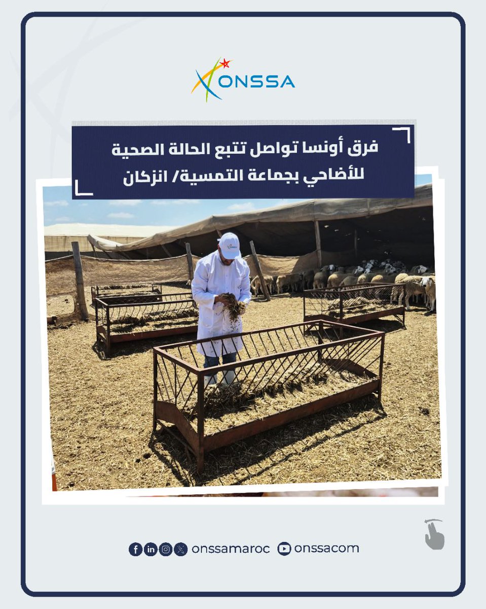 المكتب الوطني للسلامة الصحية للمنتجات الغذائية tweet media