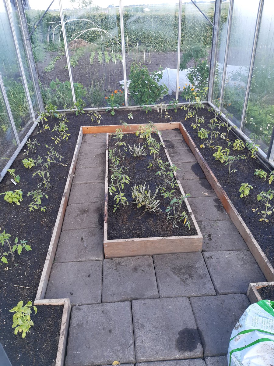 36sandjes's tweet photo. Hele dag keihard gewerkt ,maar de verplaatste kas is schoon, opnieuw ingericht, tegelpaadje mooie grond en compost er in en eindelijk de plantjes er in. 
En nu groeien maar!!!
#tomaten #paprika,#komkommer, #basilicum https://t.co/Yl3U2hUWQN