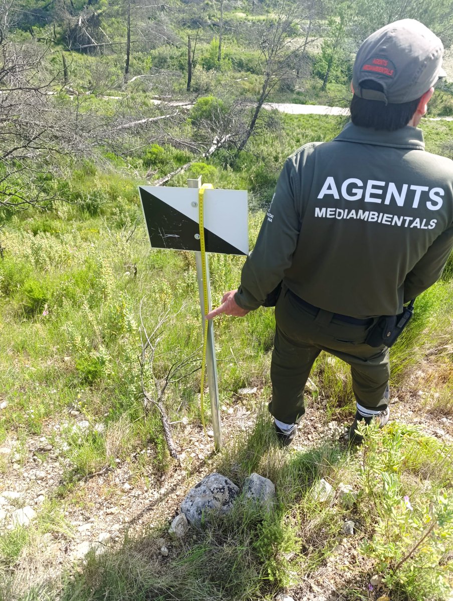 AGENTES APAMCV tweet media