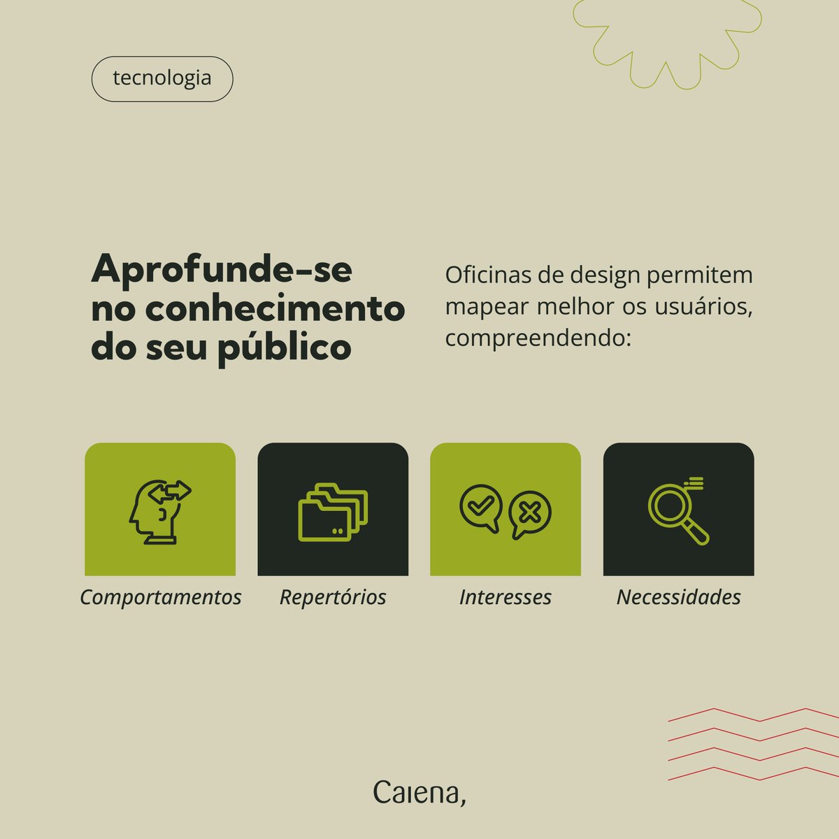 Caiena tweet media