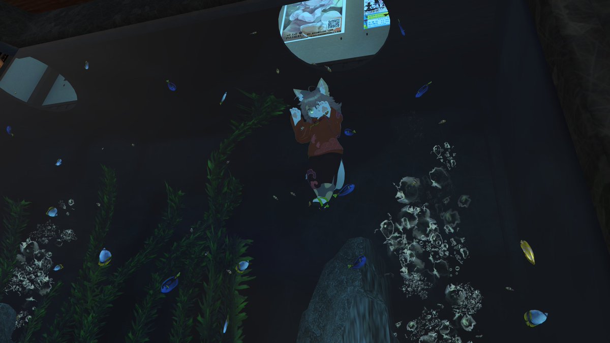 春猫はねか@VRChat tweet media