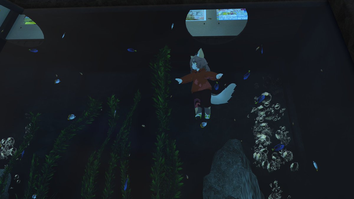 春猫はねか@VRChat tweet media