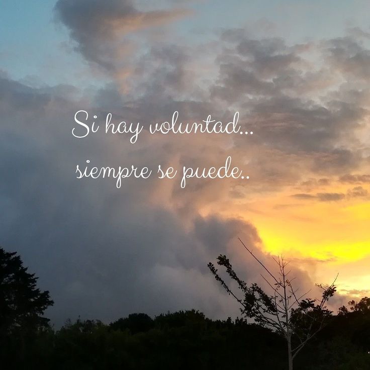 Perla Salas tweet media