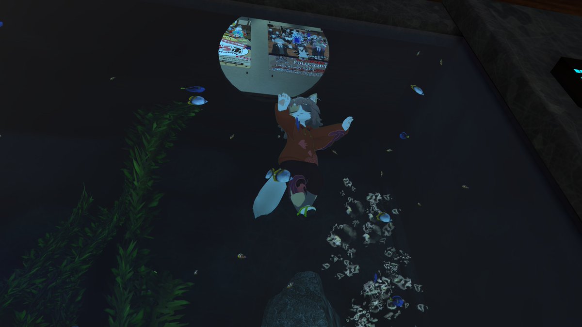春猫はねか@VRChat tweet media