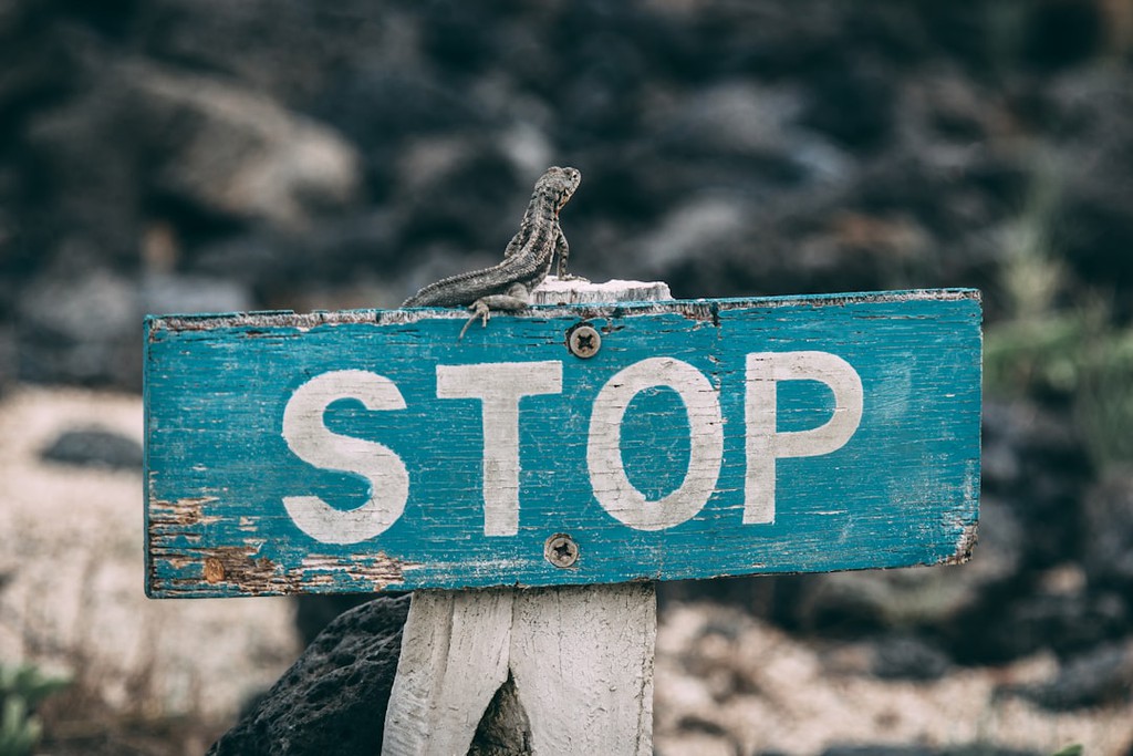 OneLitPlace's tweet photo. If you’ve got a winning idea for a nonfiction book, before you dive into the writing, take a minute to determine whether you should write the proposal you’ll be submitting to agents or publishers first.

Read more 👉 https://t.co/4AmC4WlnxI

#nonfictionbookproposal #amwriting https://t.co/0Bz9N5Lwjp