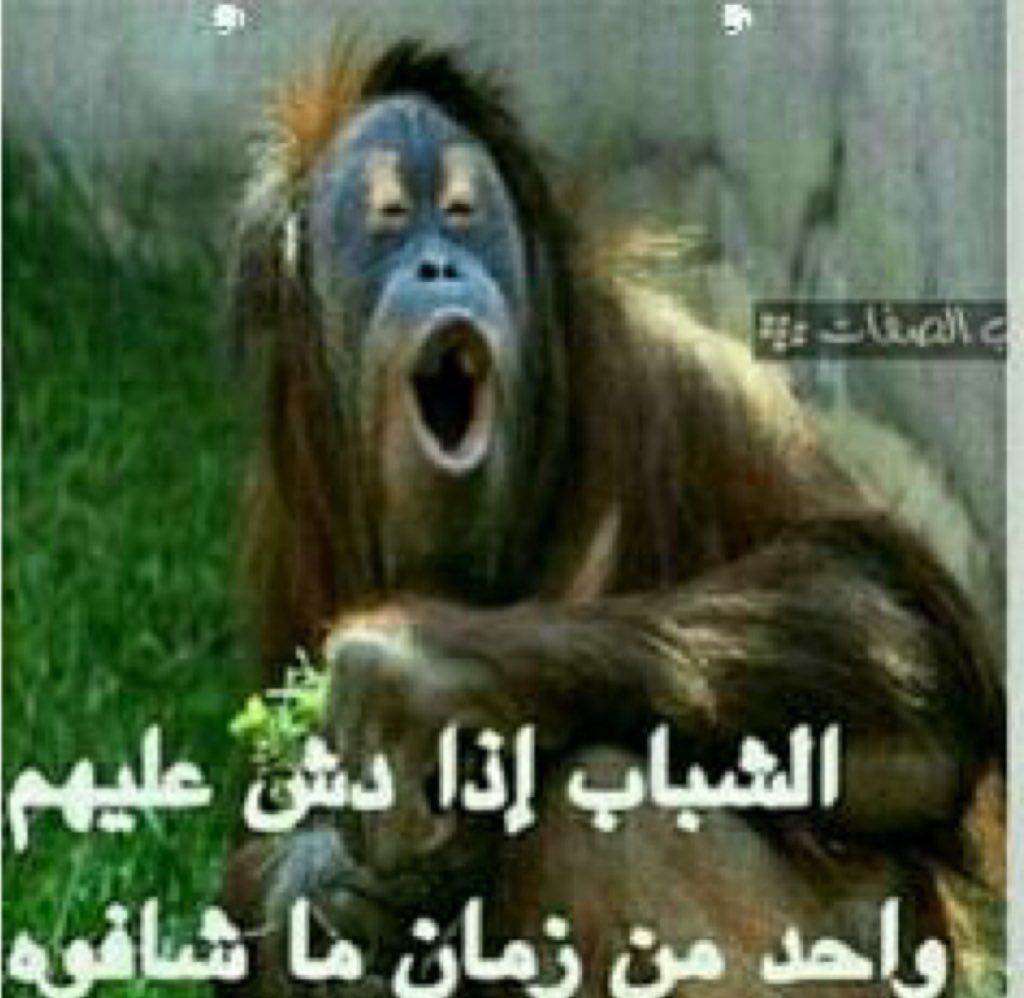 Anas tweet media