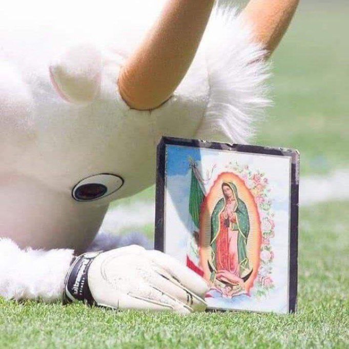 Nosequien de Chivas 🐐🇨🇵 Anti Selección MX tweet media