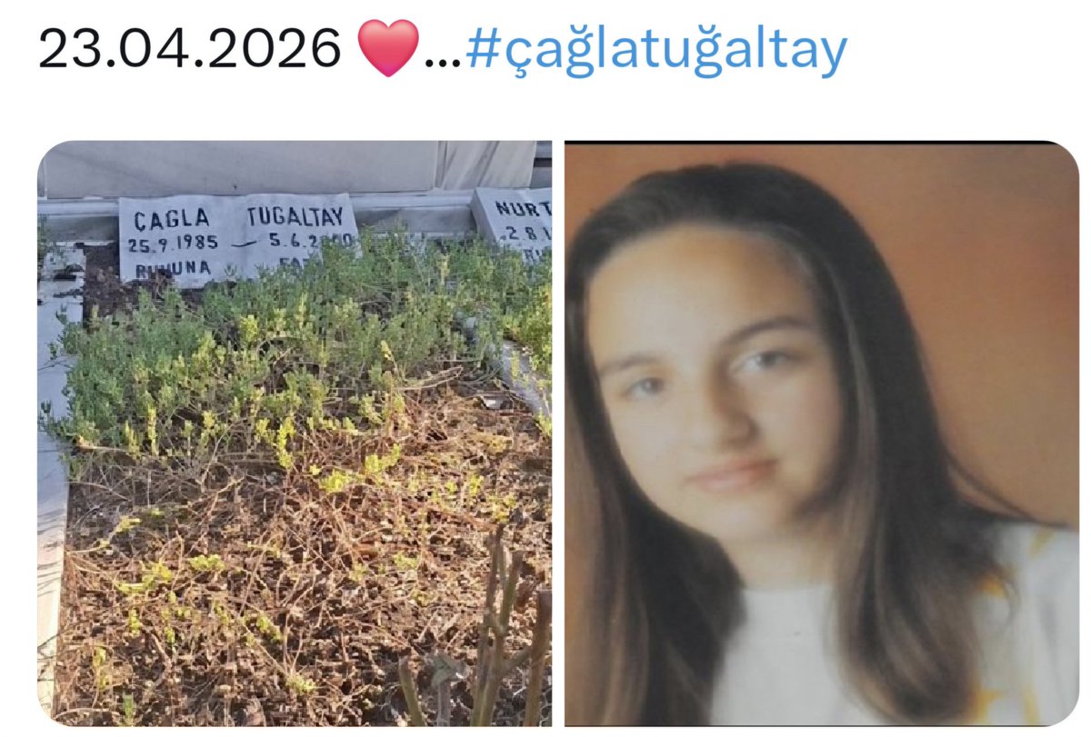 Duygu tweet media