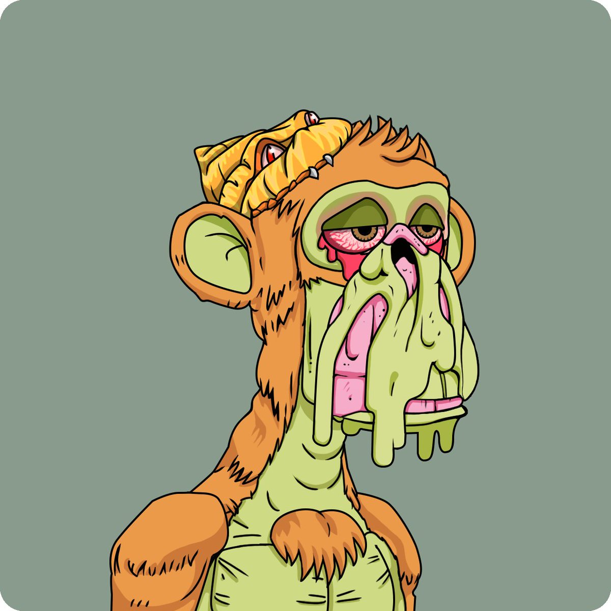 Crytollie.eth 🍌🦍 ✊ tweet media