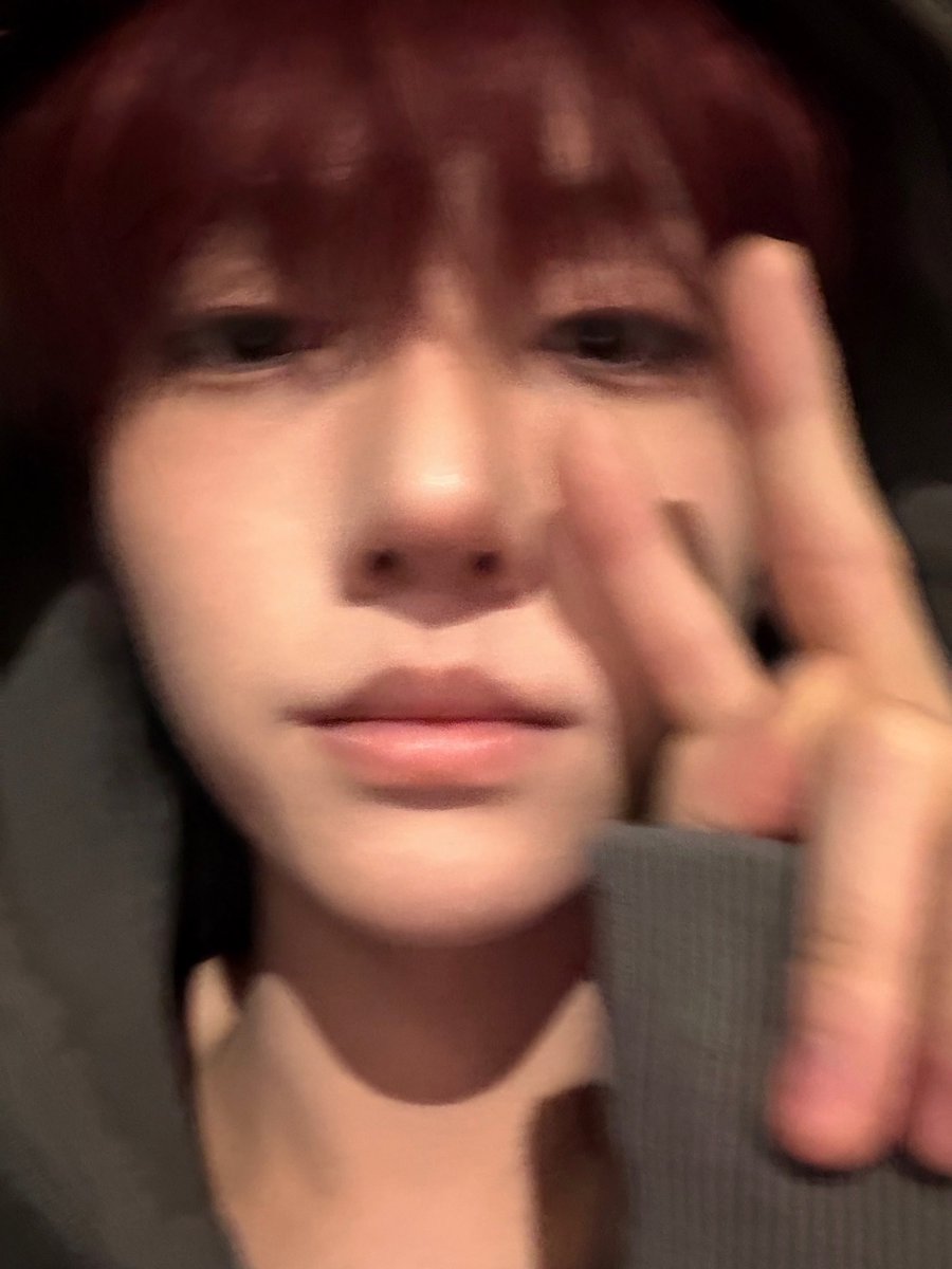 둡붑¨̮ tweet media