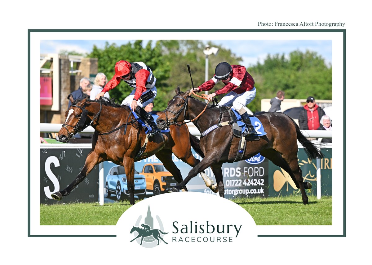 Salisbury Racecourse tweet media