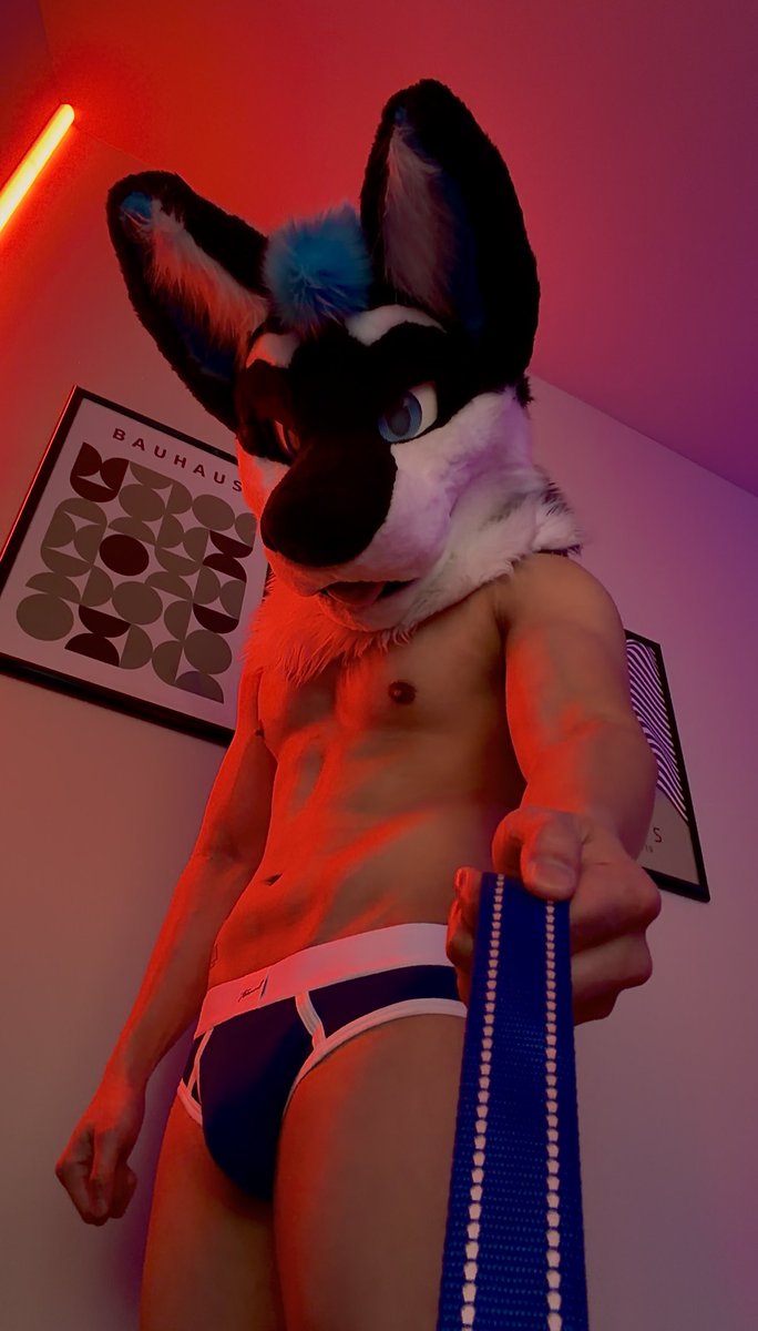 Atom the Wolf tweet media