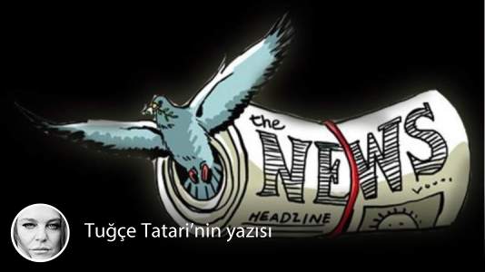 T24 tweet media