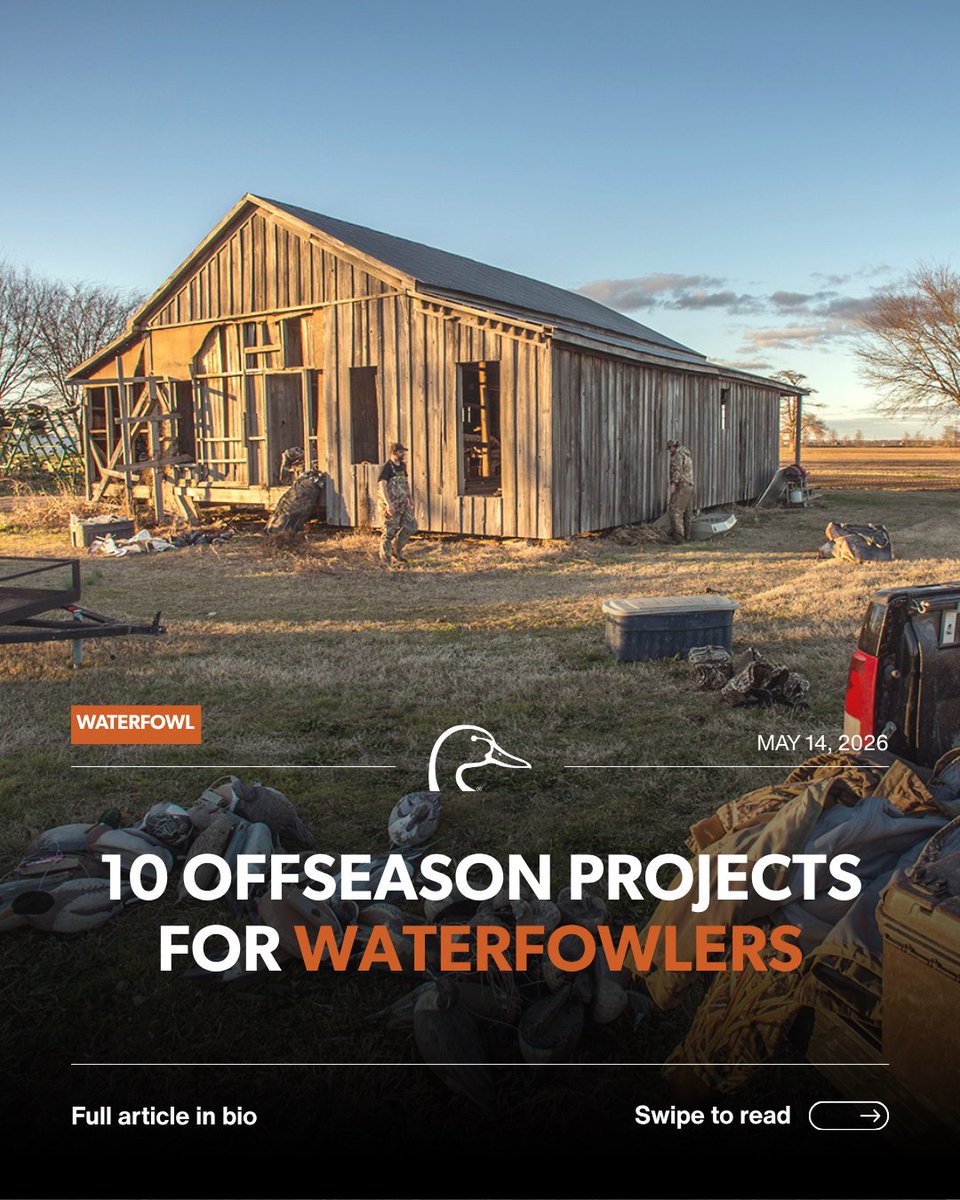Ducks Unlimited tweet media
