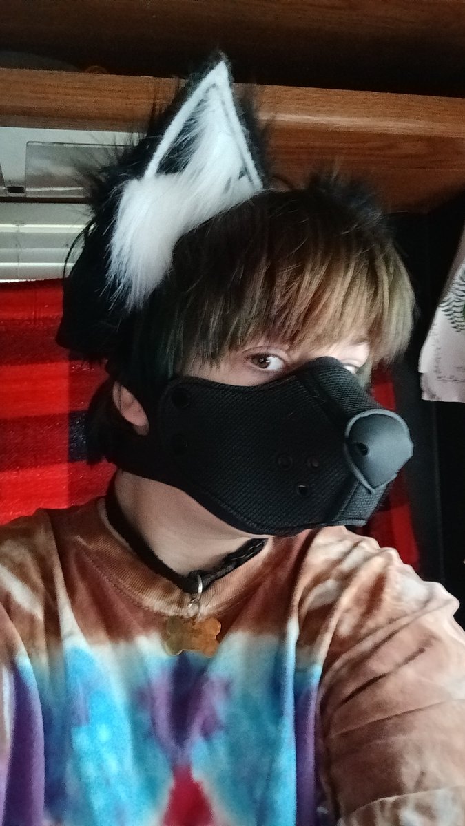Alexv3nus's tweet photo. Feeling cute today 🐾💚 https://t.co/Sm3R1ursfQ