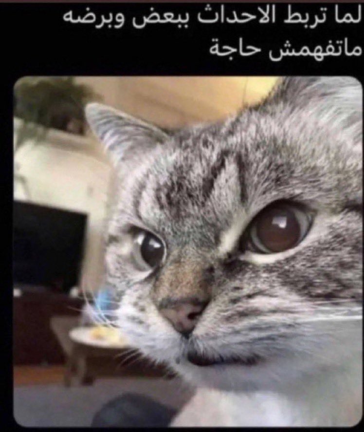 𝐒𝐀𝐖🇮🇶 tweet media